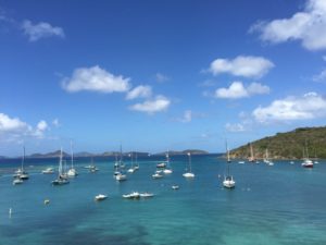 Edward Mckenzie Virgin Islands 4